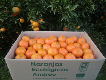 Caja 10 kg. de mandarinas clementinas Nules ecológicas certificadas