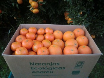 Caja 15 kg. de mandarinas y naranjas ecológicas certificadas
