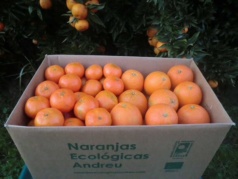 Caixa 15 kg. de mandarines i taronges ecològiques certificades