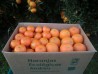 Caixa 15 kg. de mandarines i taronges ecològiques certificades