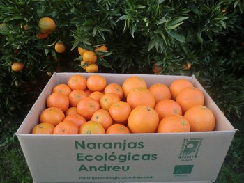 Caixa 10 kg. de mandarines i taronges...