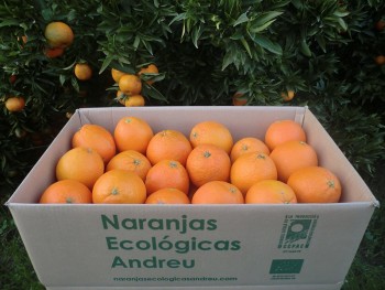 Caja 10 kg. de naranjas Lanelate ecológicas certificadas