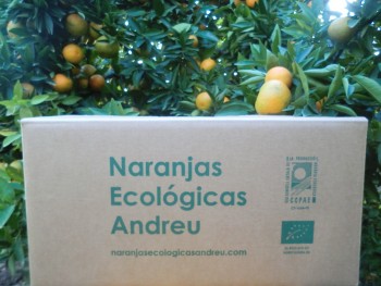 Caixa de 15 kg. de taronges suc Lanelate ecològiques certificades